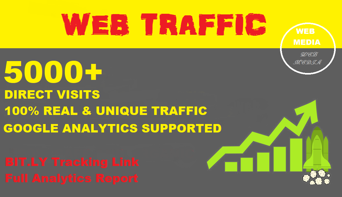 Provide 5000+ Website Traffic with Direct Visits