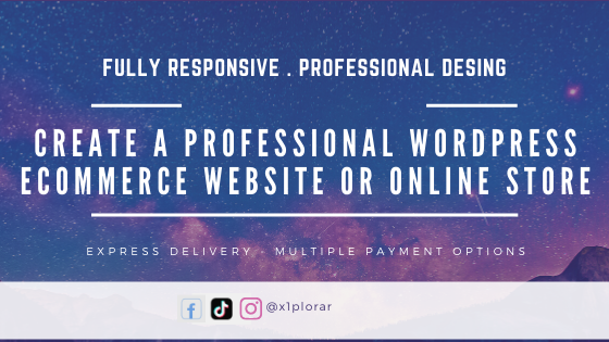 create a professional wordpress website or online sto...