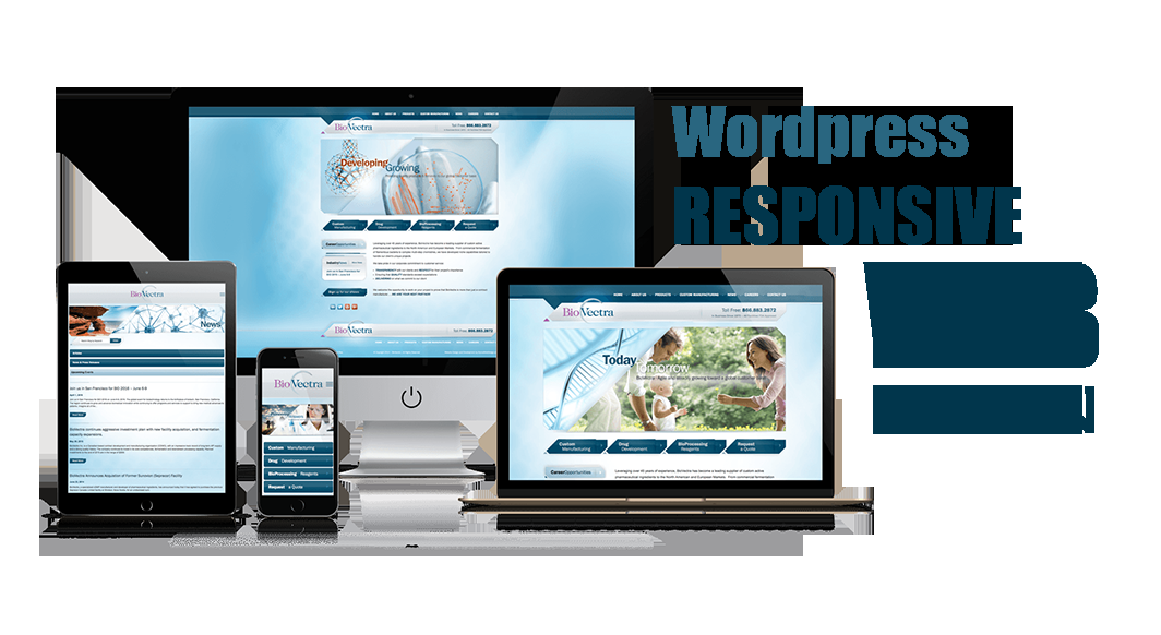 Create your business WordPress website