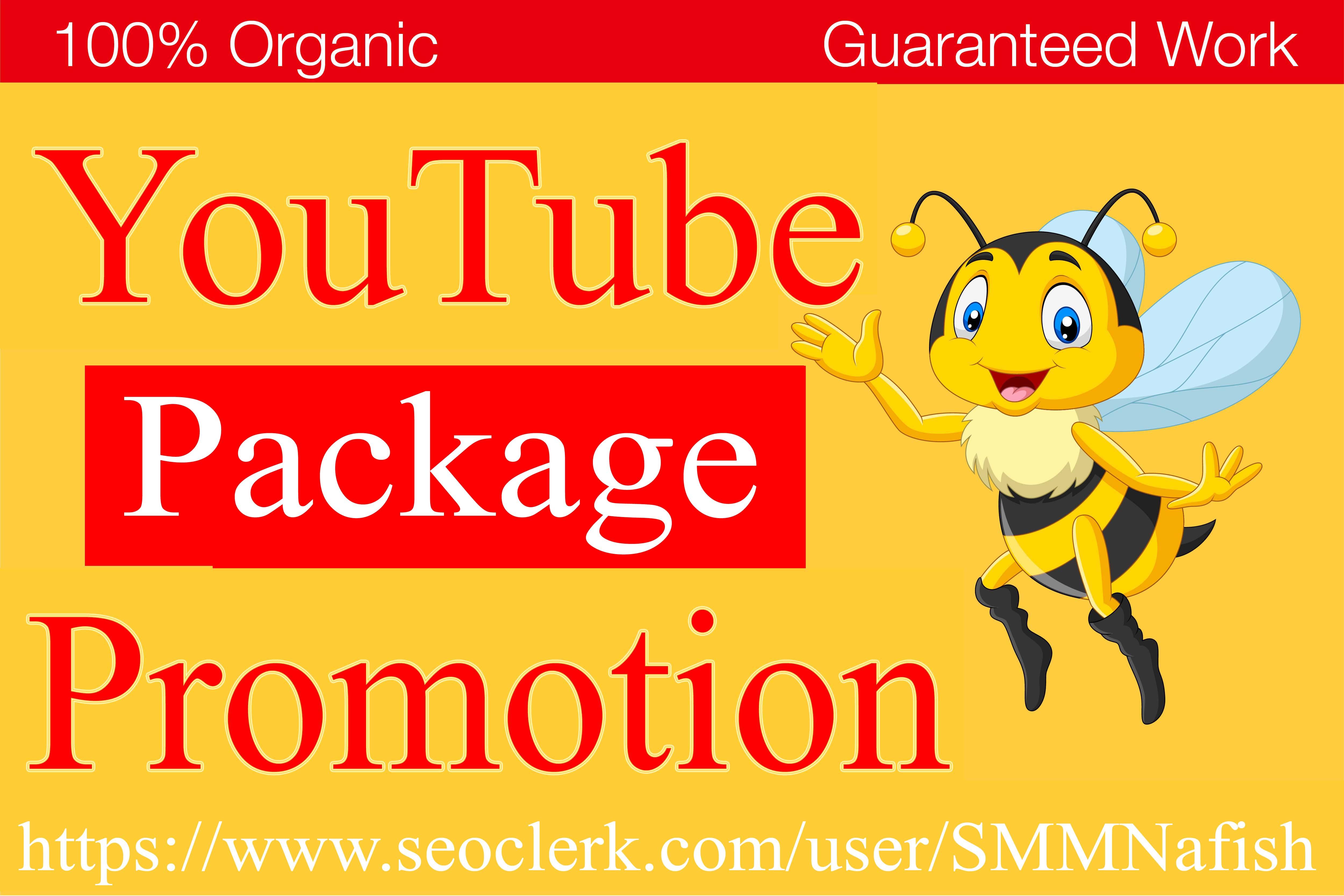 YouTube Package All In one Service Real Video Promoti...