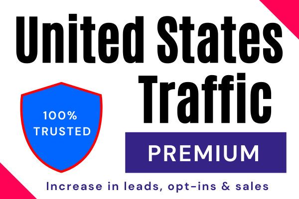 Advance niche targeted real visitors USA web traffic ...