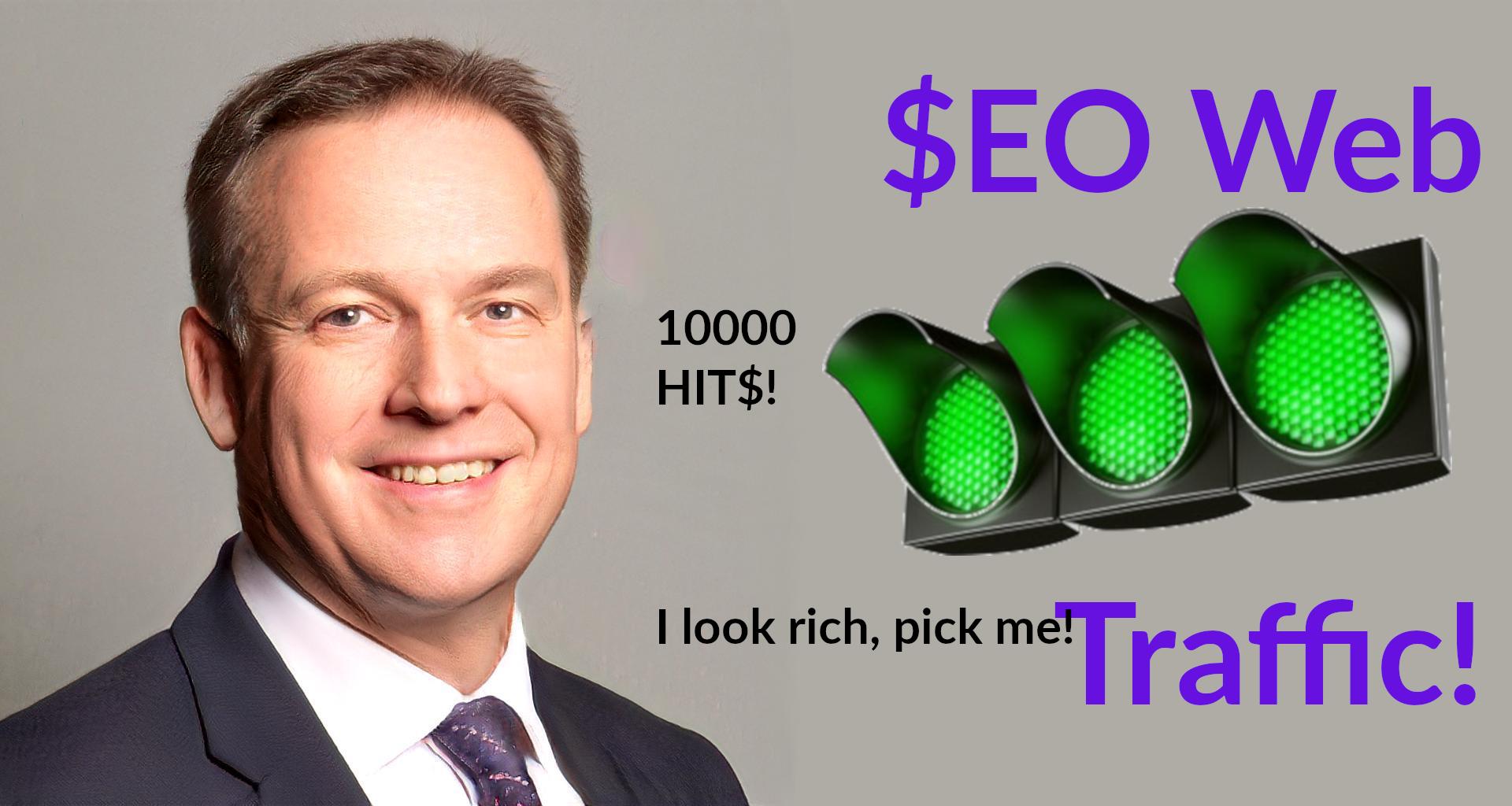 SEO Web Traffic 10,000 Hits on your domain