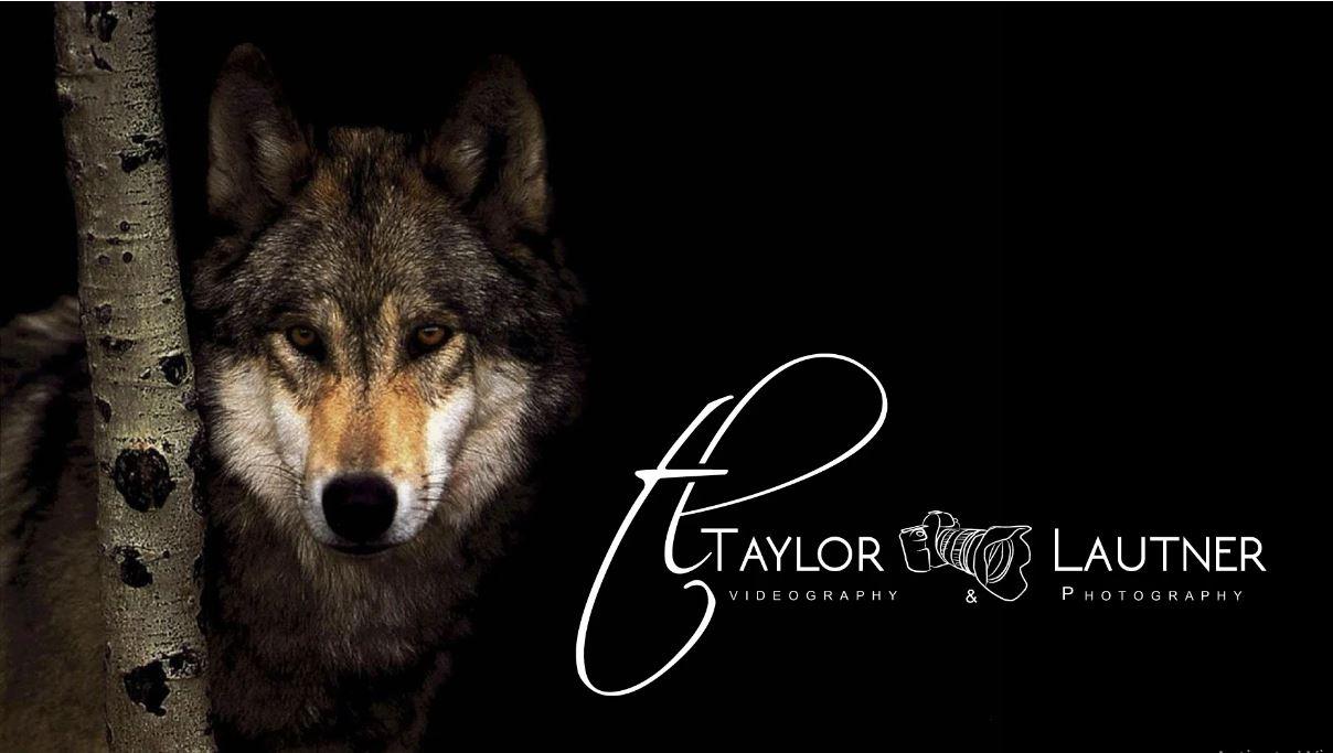 I will design addictive photography logo or watermark...