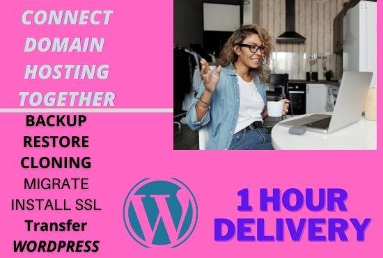 I will duplicate, redesign wordpress website in 30 mi...