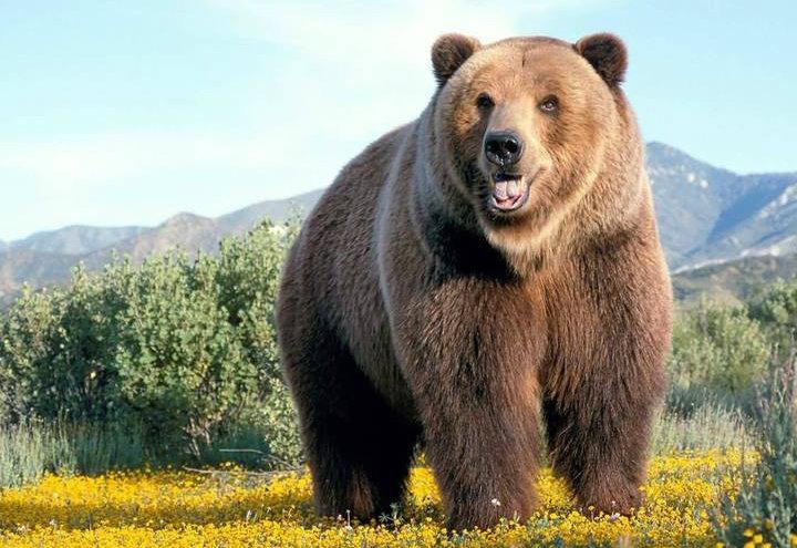 I will remove the background of 40 photos very quickl...