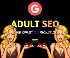 I will 1 Permanent Homepage PBN Back link on a very p...