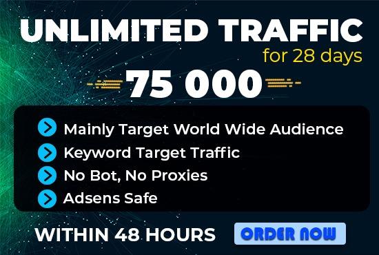 send 75000 real human keyword target website traffic ...