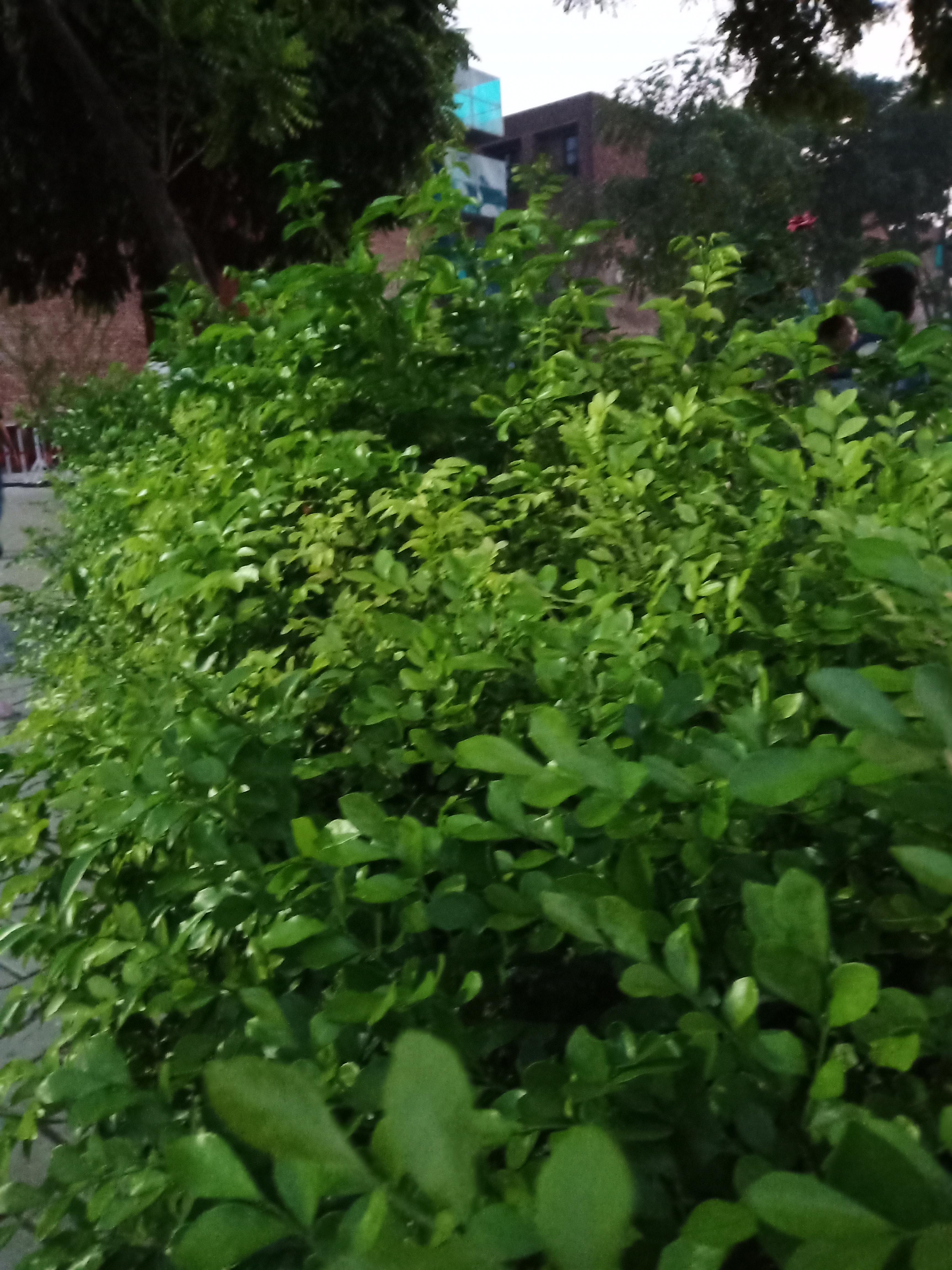 I am a great article writer and can write any kind of...