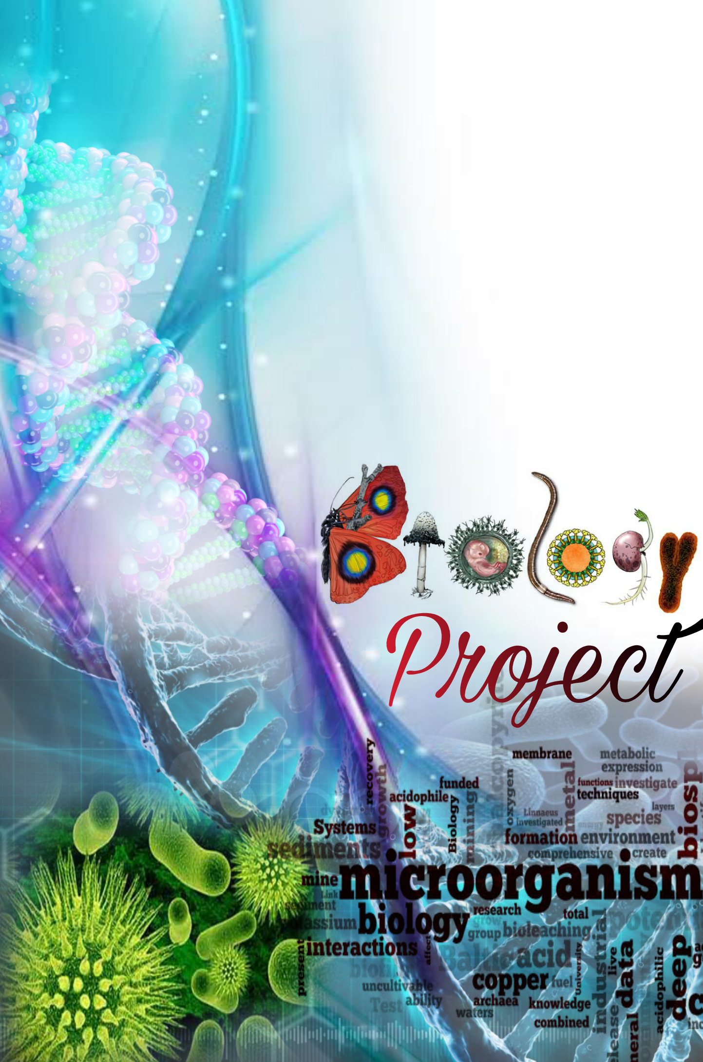 LOGO Designer, Books Cover Page, Photo Editor.