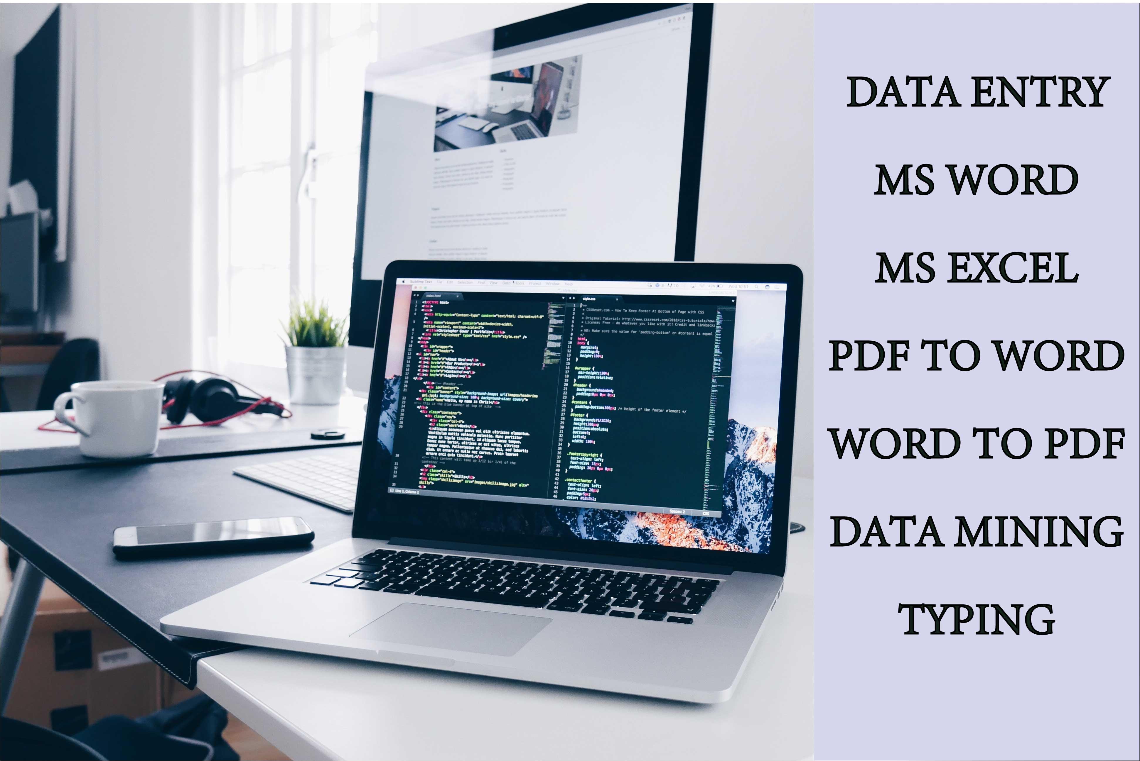 I will do any Data Entry Job / Project.