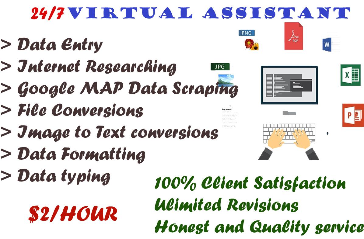 I will be your virtual assistant and data entry opera...