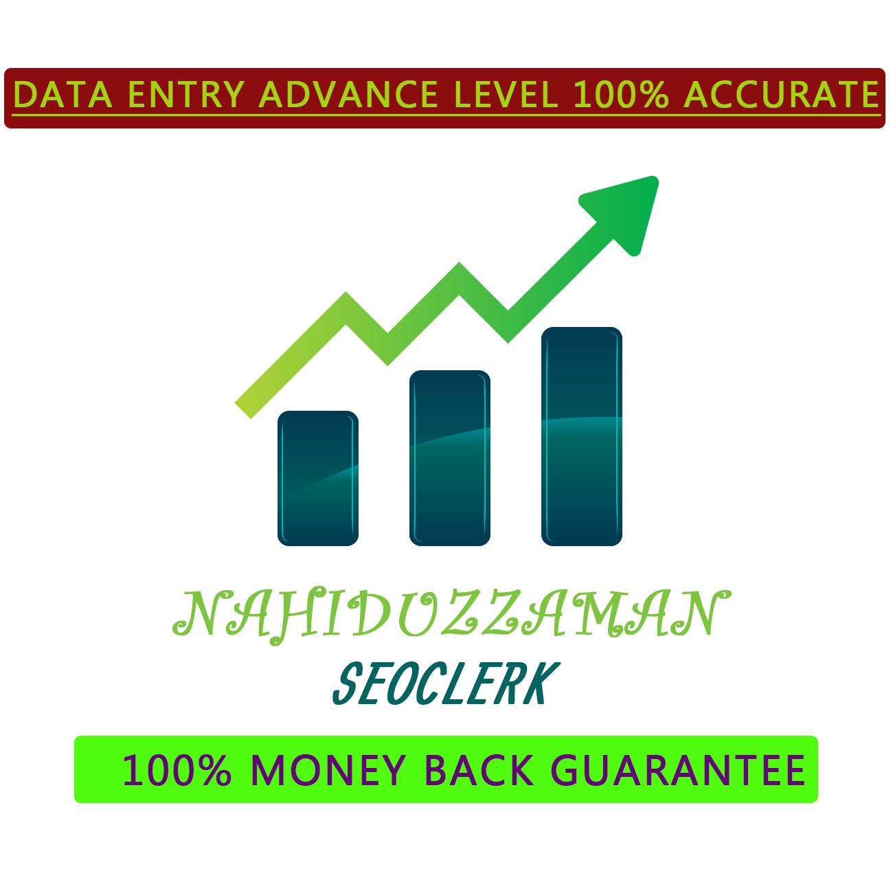 I Will manually do your data entry 100 Accurate