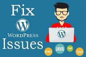 I will fix wordpress website issues or errors in 24 h...