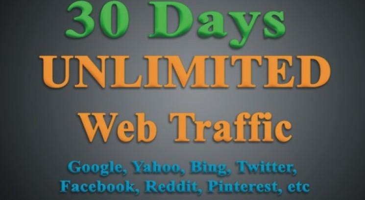 UNLIMITED TARGETED Web Traffic From Worldwide for 30D...