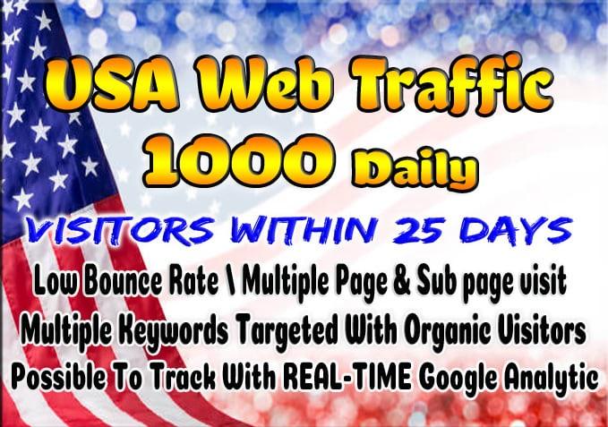 Super targeted USA traffic real Google organic web vi...