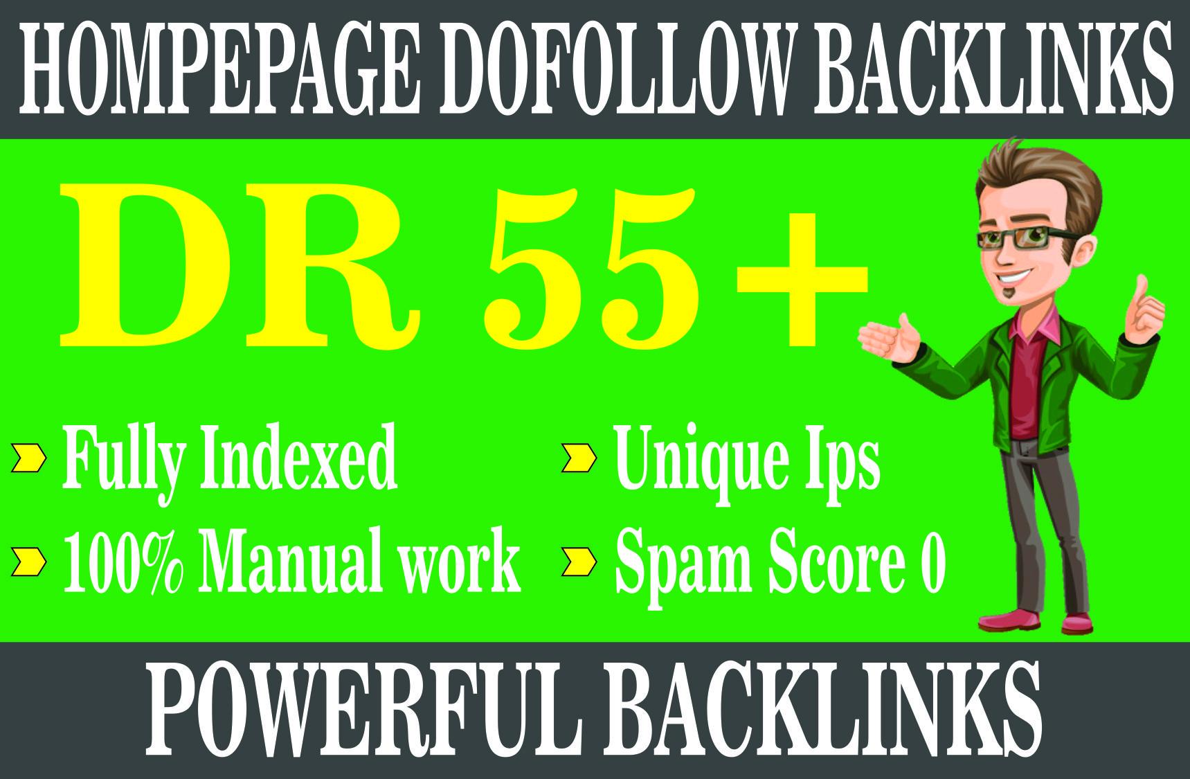 i will Create 3 DR55+ Permanent Homepage pbn Backlink...