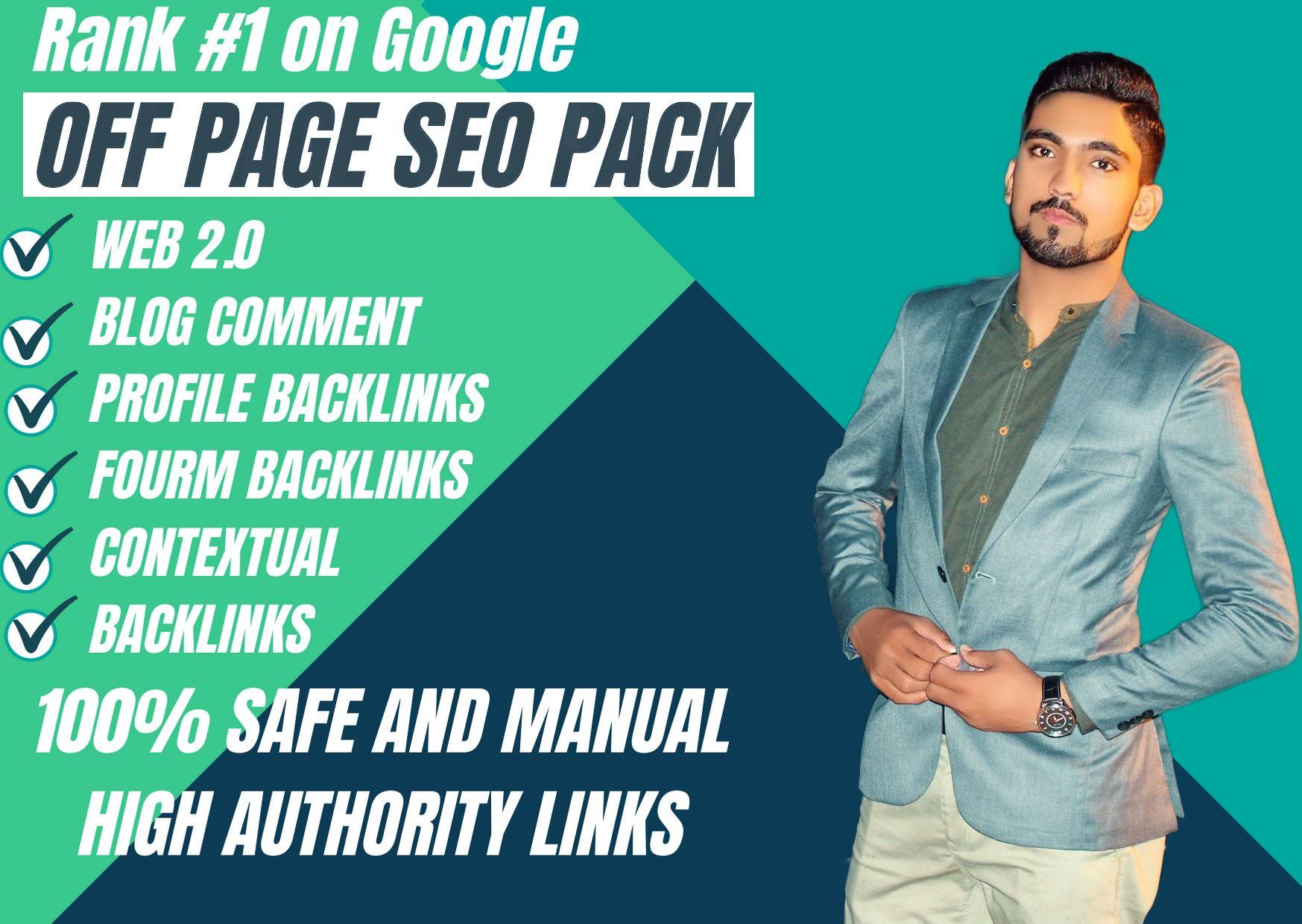 I will built a perfect monthly SEO pbn backlinks to R...
