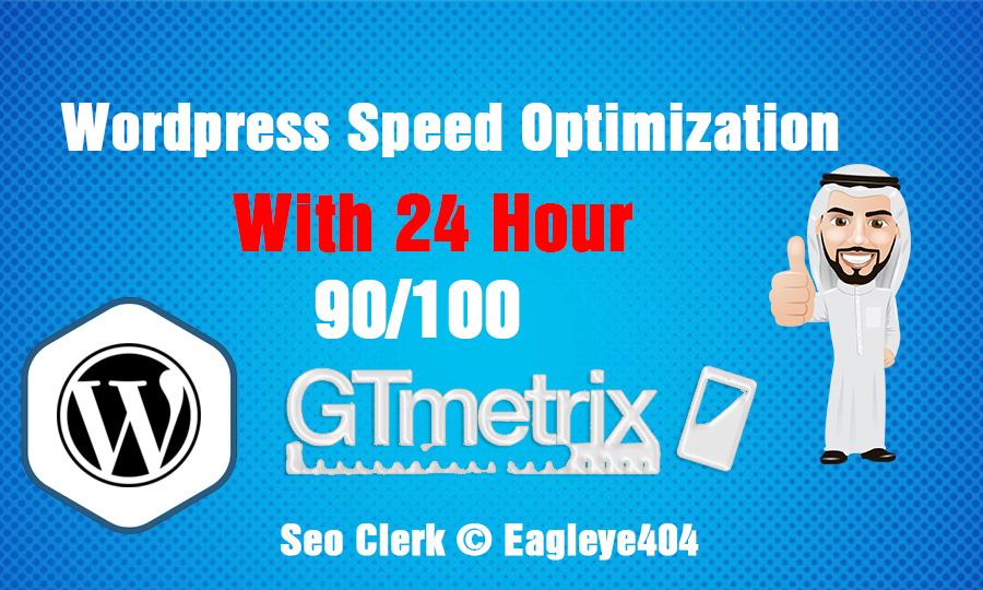 I will Provide you wordpress site speed optimization ...
