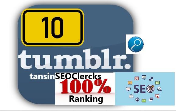 I Do 10 Tumblr Backlink For Skyrocket Rank your Websi...
