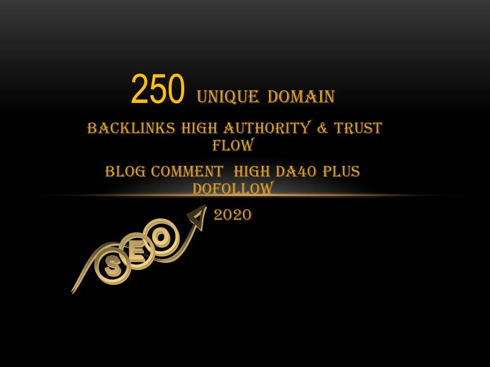 I will do 250 Unique Domain High DA PA With Dofollow
