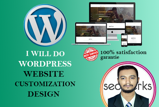 I will design a responsive wordpress web site up to 3...