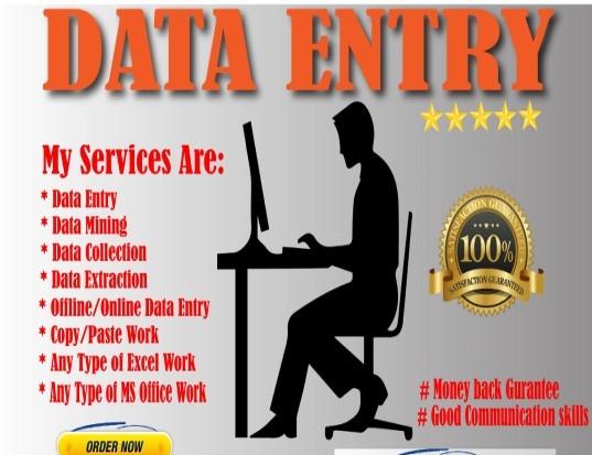 Data Entry & Microsoft Offices Services within 1-...