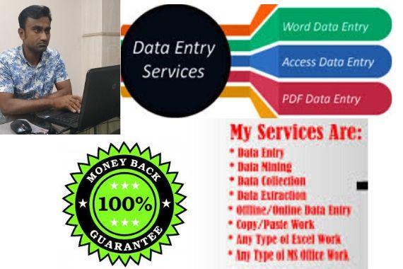 I will do fast data entry excel, web search within 1...
