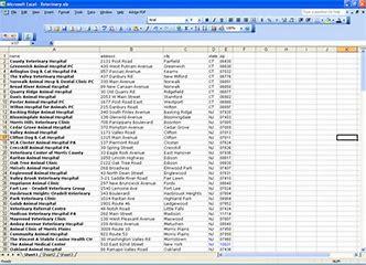 23 Million Email contacts list