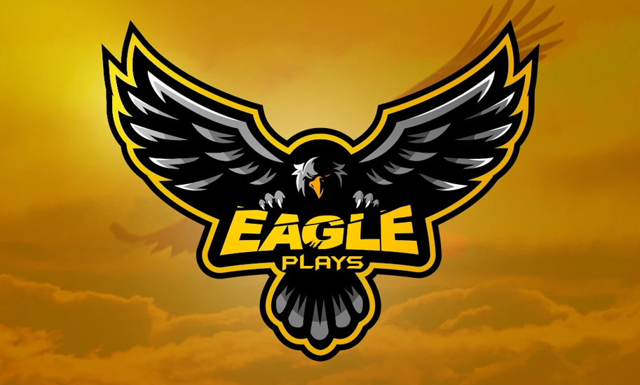 I will create a custom professional mascot logo or mi...