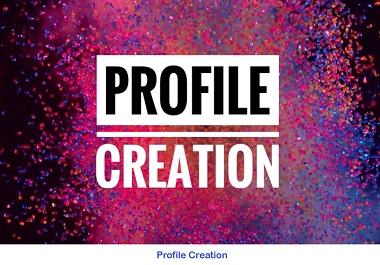 I will do 300 setup social profiles for profile Creat...