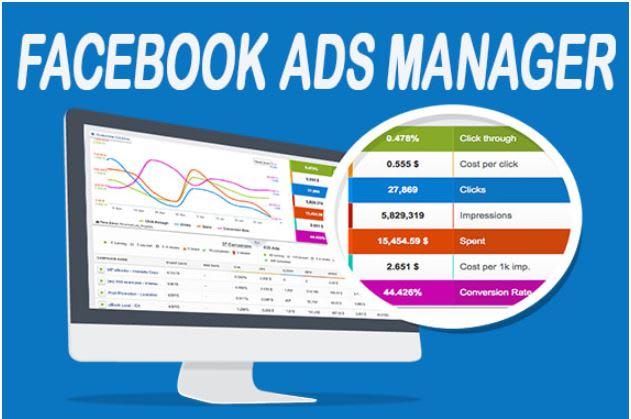 I will manage Your facebook Business Page and create ...