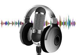 I will professionally edit and make your podcast soun...