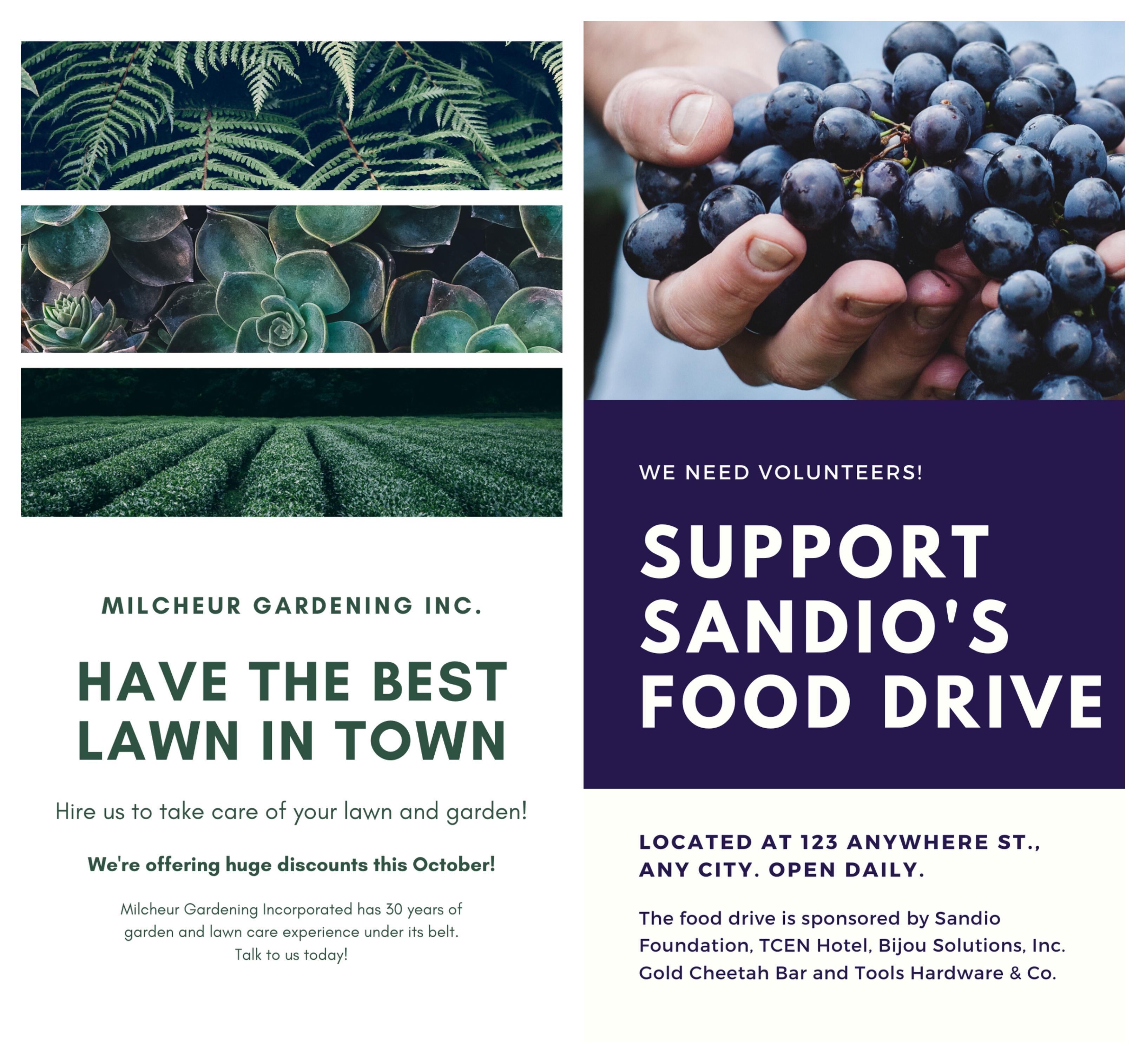 i will do professional and creative flyer and brochur...