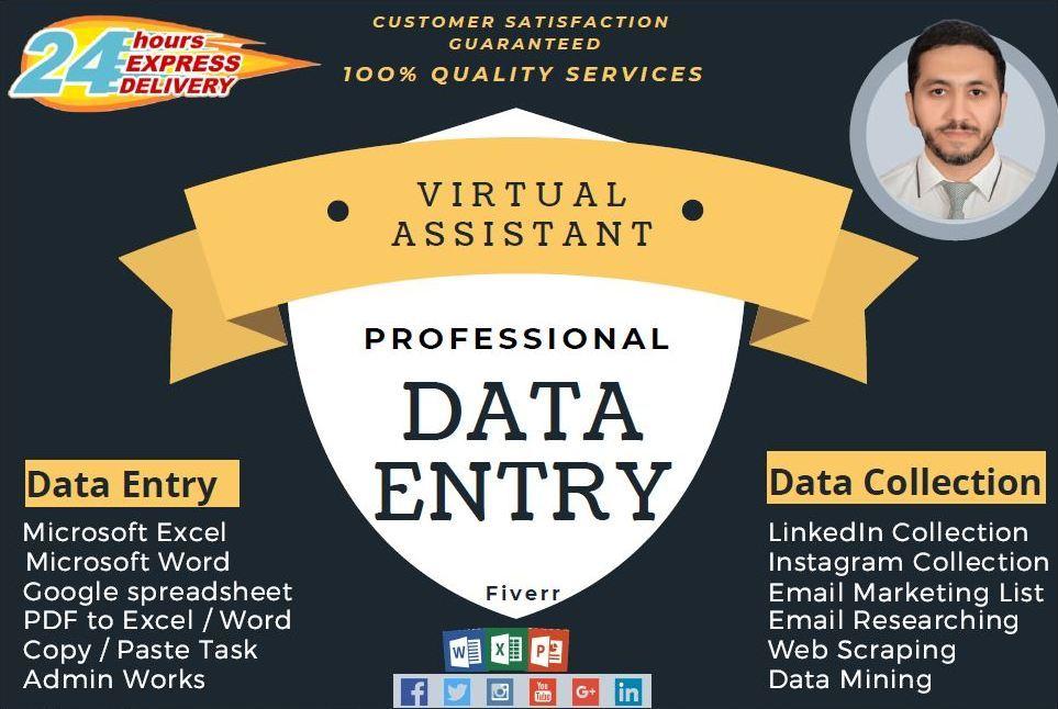 I will be an ideal Virtual Assistant, Data Entry, D...