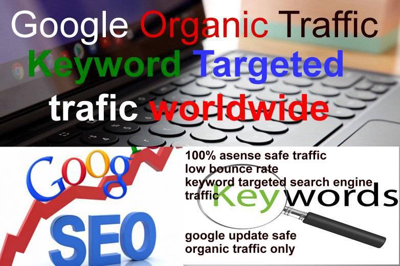 Keyword Targeted Google Organic Traffic with Low Boun...
