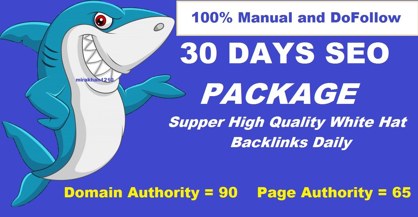 Build 100+ High Authority Domain Backlinks 30 Days Dr...