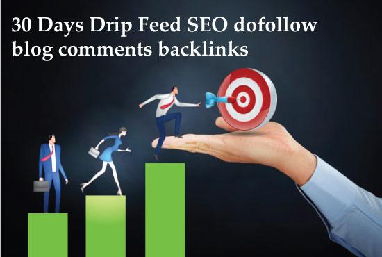 I will submit 30 days drip feed SEO backlinks for a d...