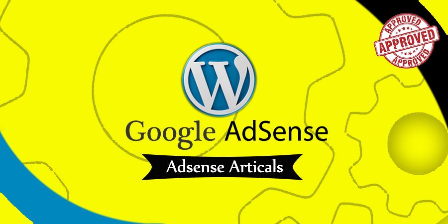 Build niche or micro niche website for adsense or ama...