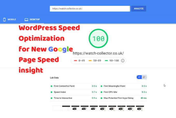 I will increase wordpress speed for google pagespeed ...