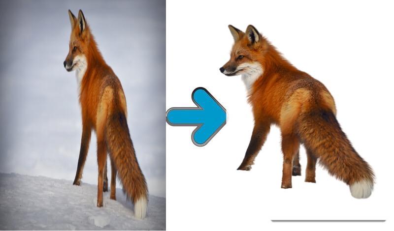 Your photo background removal service