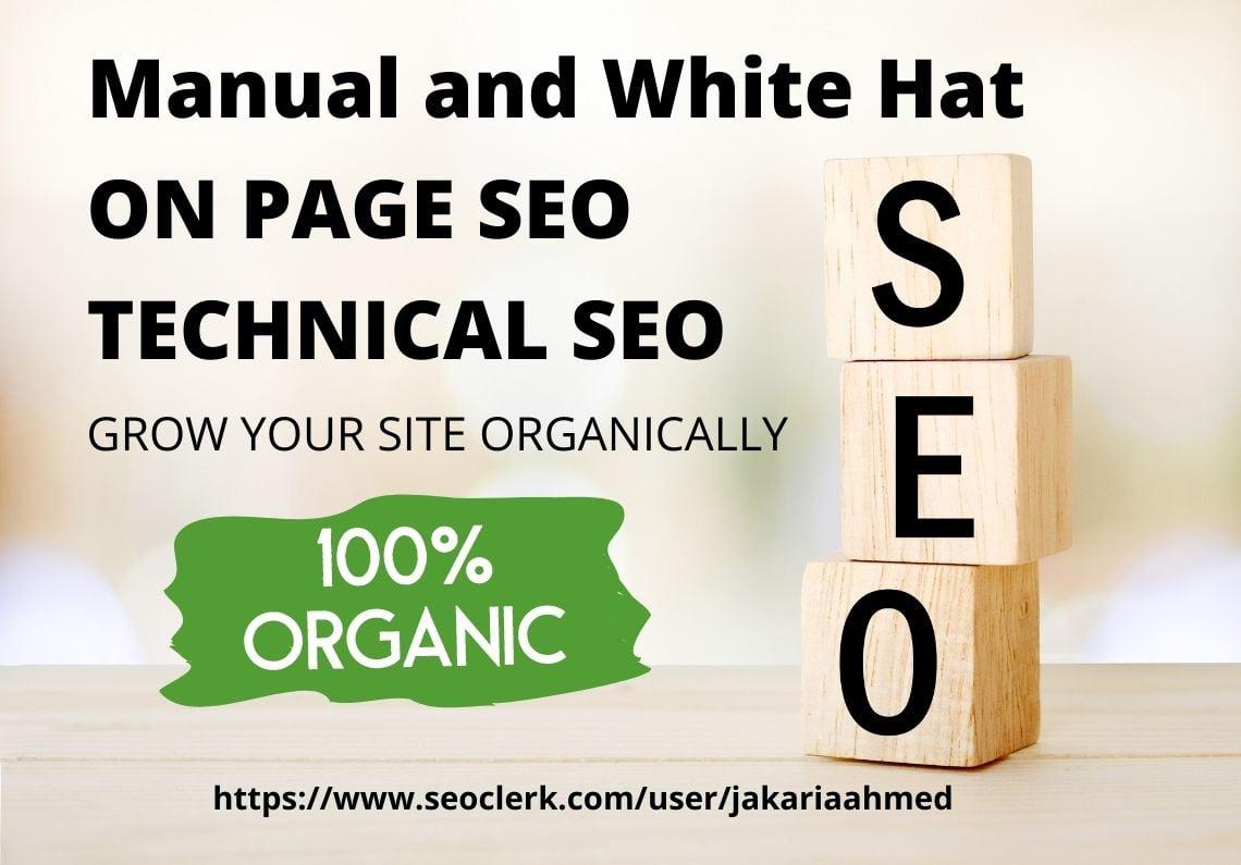 Manual and White Hat On page SEO and Technical SEO fo...