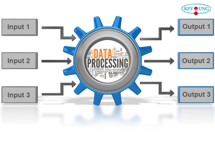 will provide 5k data processing service