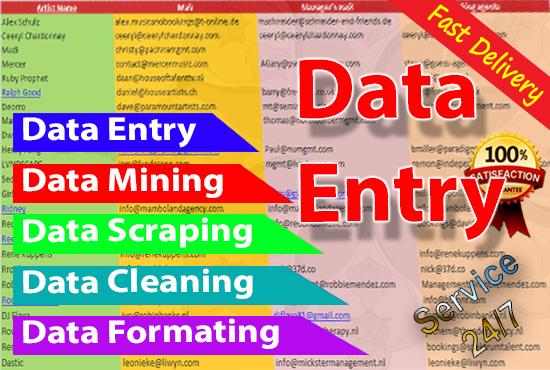 I will do accurate Data Entry and Web Research