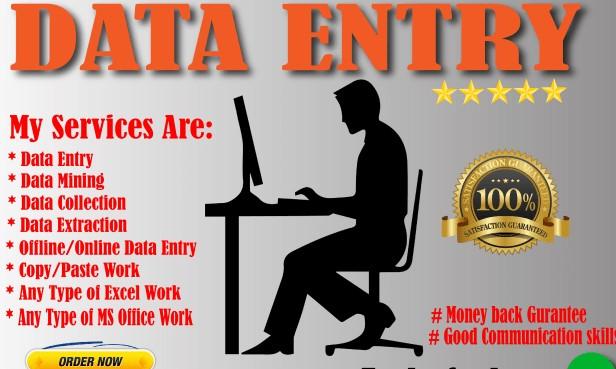I Will do all kind of Data Entry work along with Inte...