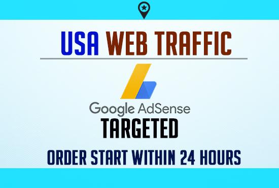100,000+ niche targeted organic USA web traffic withi...