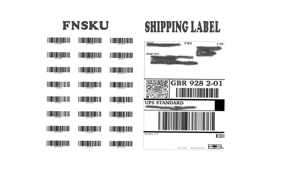 I will create FBA shipments for you and help in sendi...