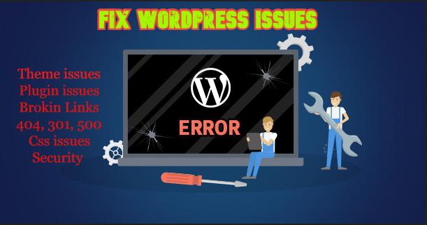I will fix wordpress issues, error, css, bugs, se...