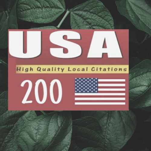 I will Do 25 live USA local citaions manually for you...