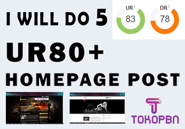 I will do 5pcs UR 80+ PBN Homepage Post