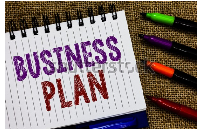I will write a professional business plan
